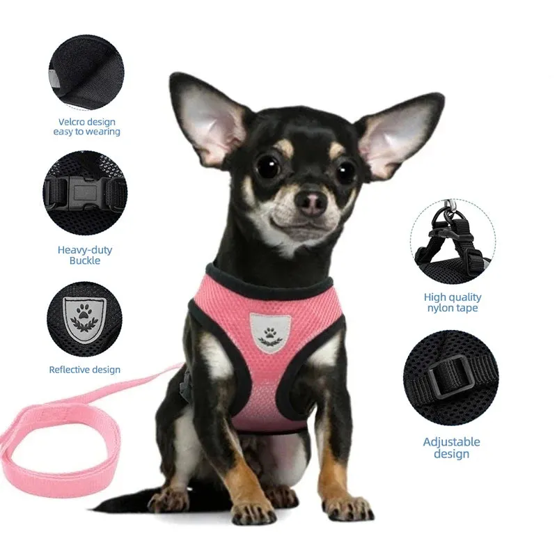 "Pet Walk & Lead Set: Adjustable Cat Harness & Traction Rope"