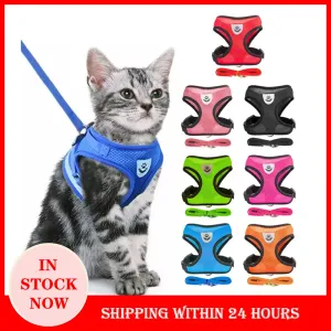 "Pet Walk & Lead Set: Adjustable Cat Harness & Traction Rope"