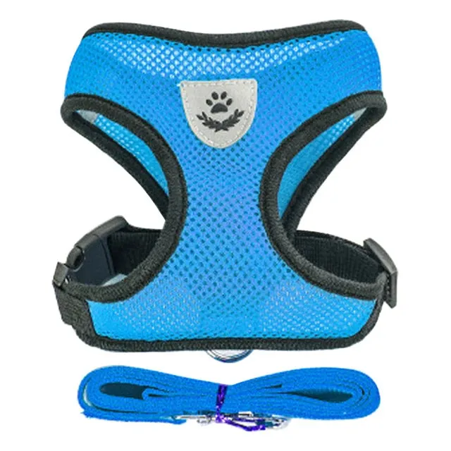 "Pet Walk & Lead Set: Adjustable Cat Harness & Traction Rope"