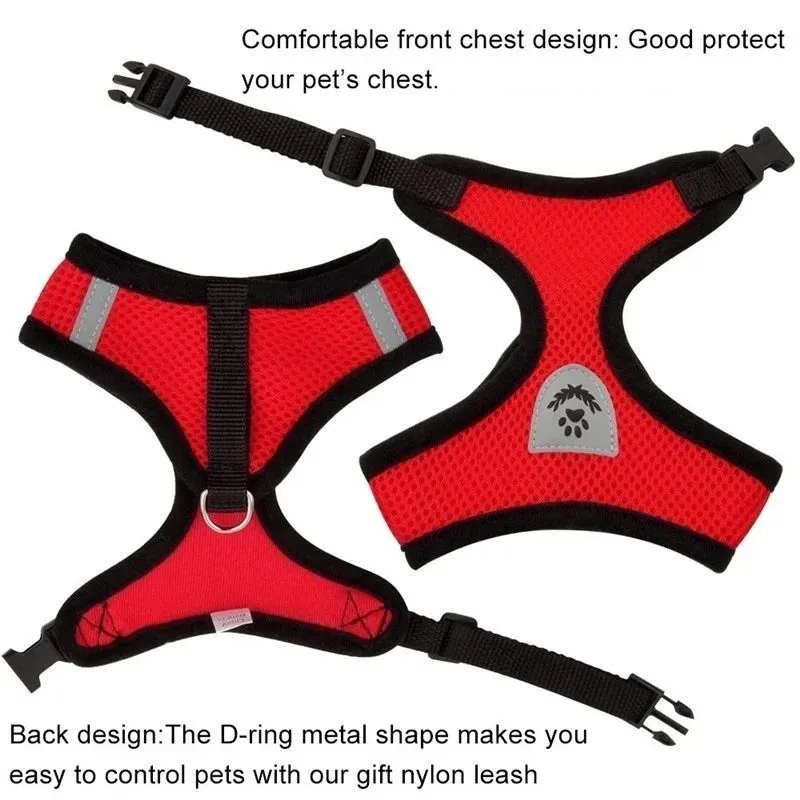 "Pet Walk & Lead Set: Adjustable Cat Harness & Traction Rope"
