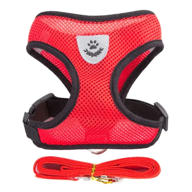 "Pet Walk & Lead Set: Adjustable Cat Harness & Traction Rope"