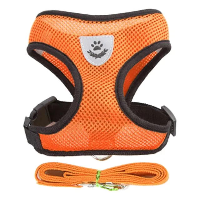 "Pet Walk & Lead Set: Adjustable Cat Harness & Traction Rope"