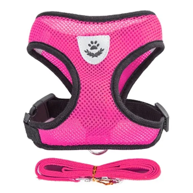 "Pet Walk & Lead Set: Adjustable Cat Harness & Traction Rope"