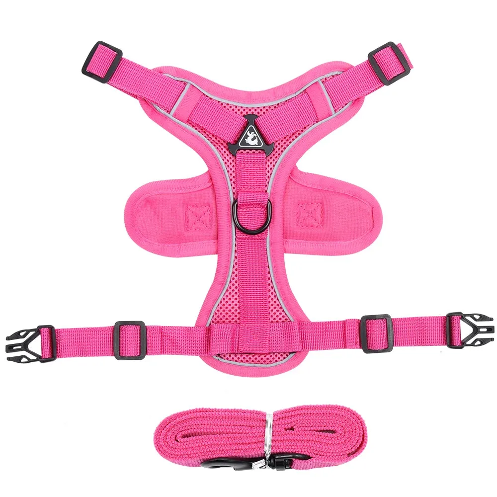 Reflective Cat Harness & Leash Set