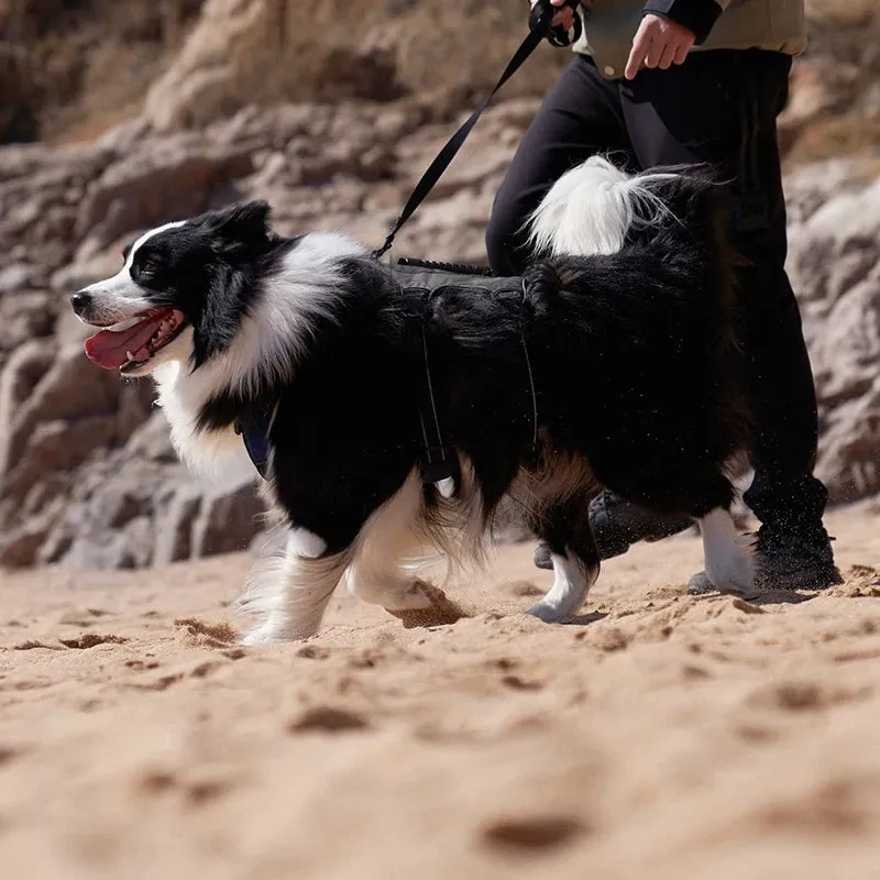Reflective No Pull Tactical Dog Harness