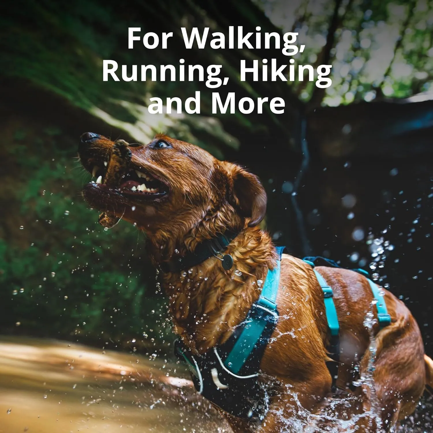 Ruffwear, Flagline Dog Harness, Lightweight and Reflective, No Pull Dog Lift Harness for Hiking, Running and Everyday Use, Sage Green, Medium