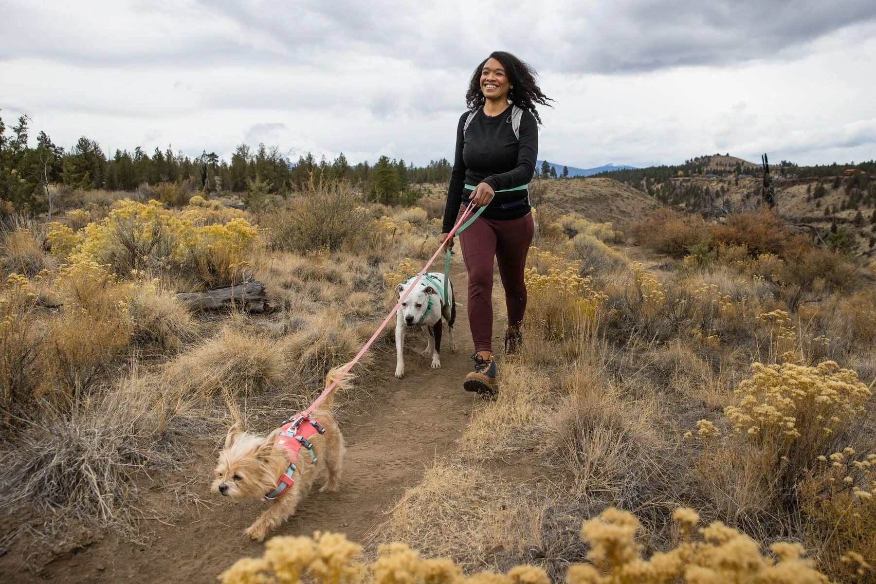 Ruffwear Flagline Harness Lichen Green