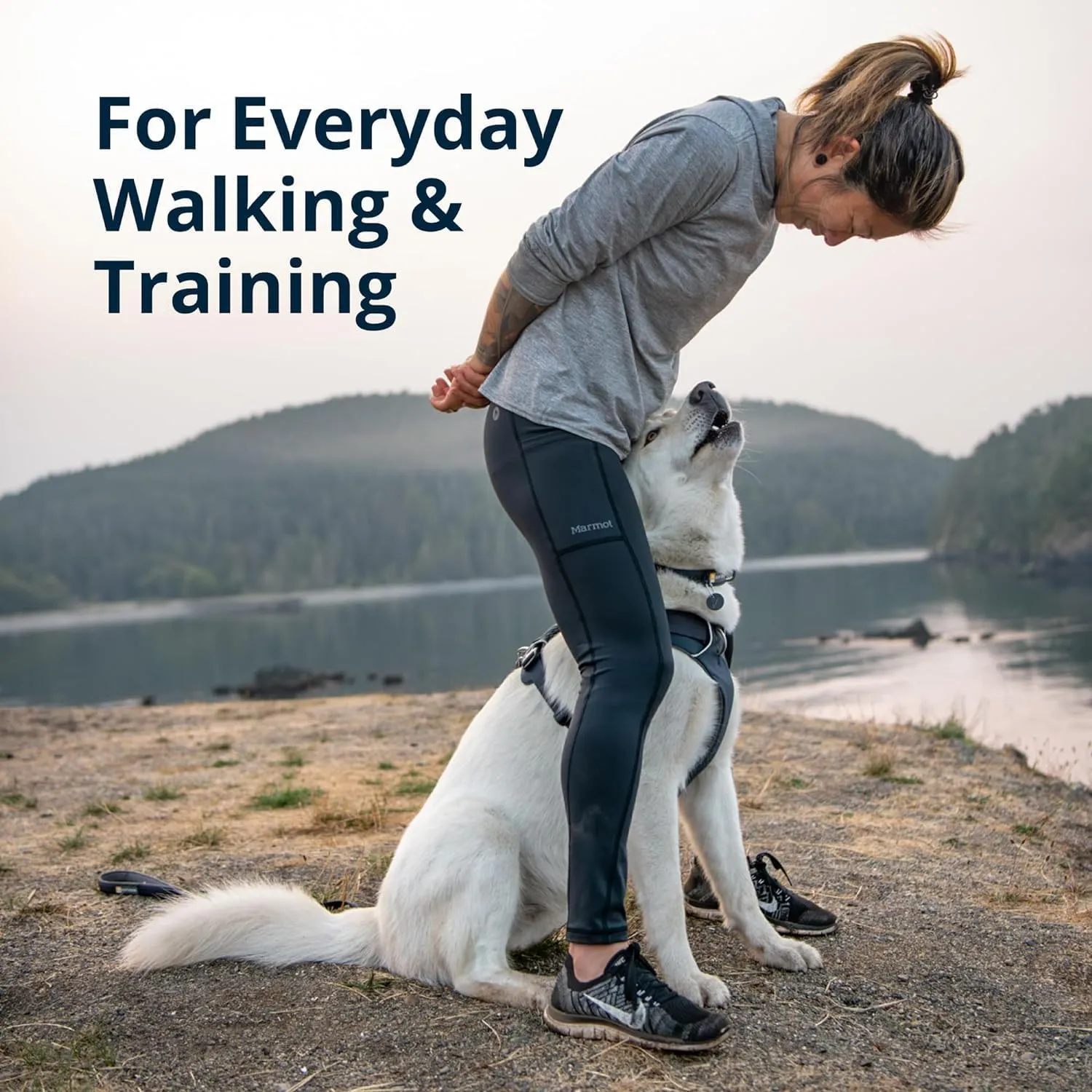 Ruffwear, Front Range Dog Harness, Reflective Soft Padded Everyday Harness with Dual Leash Clips, Adjustable and Lightweight Fit for Training or Walking for All Dogs, Basalt Gray, Medium