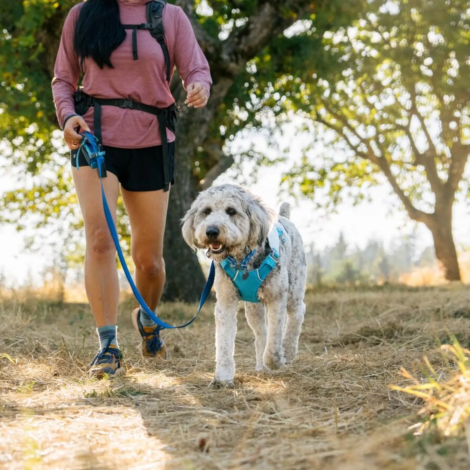 Ruffwear, Swamp Cooler Dog Harness, Lightweight with Evaporative Cooling for Hot Weather, Biolumin Blue, XX-Small