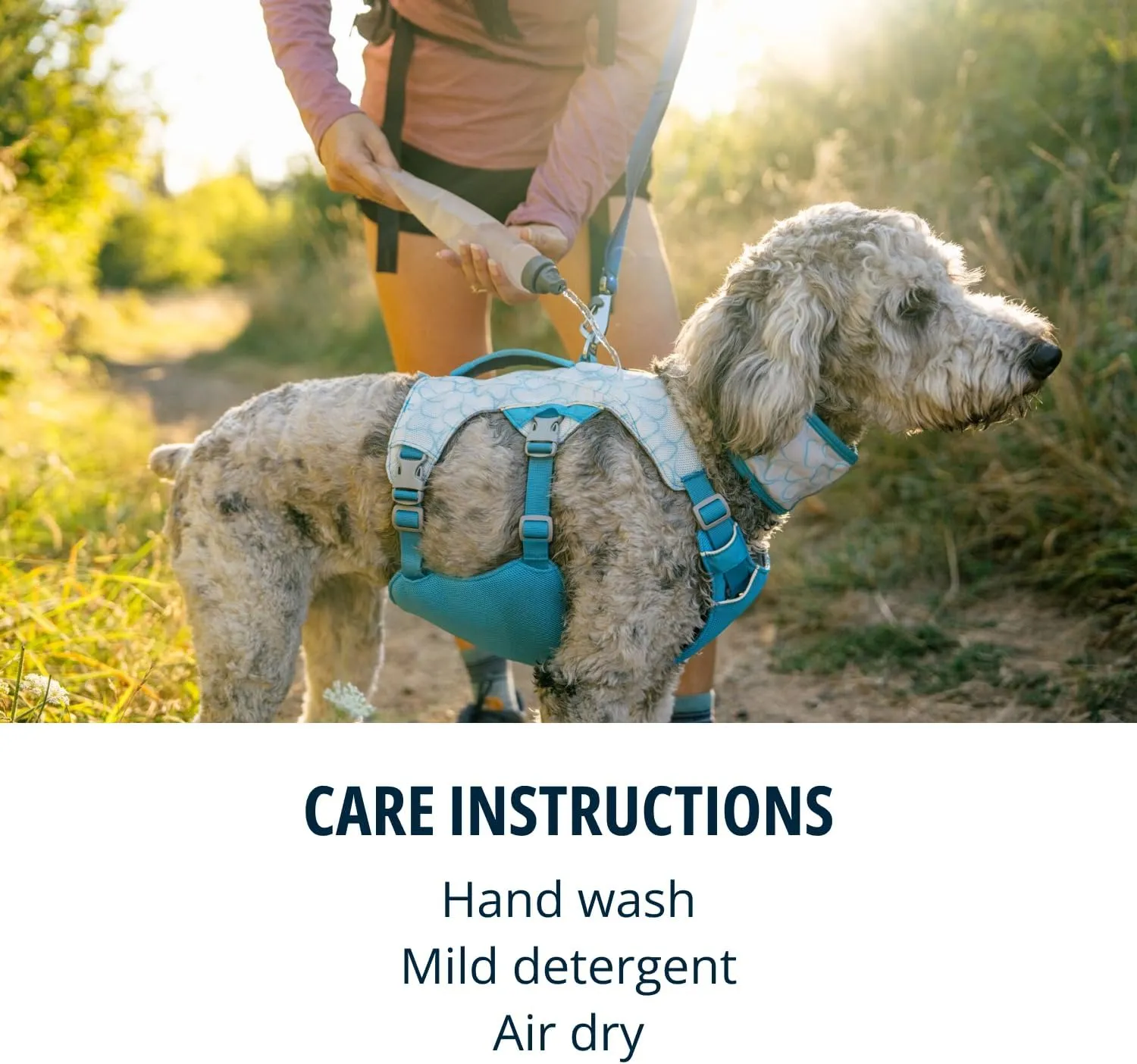 Ruffwear, Swamp Cooler Dog Harness, Lightweight with Evaporative Cooling for Hot Weather, Biolumin Blue, XX-Small