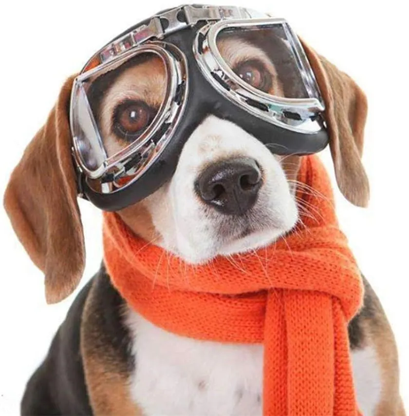 SEIS Dog Windproof Glasses Large Dog Sunglasses Pet Folding Winter Windproof Sunglasses Sled Dog Goggles (Colorful  White)