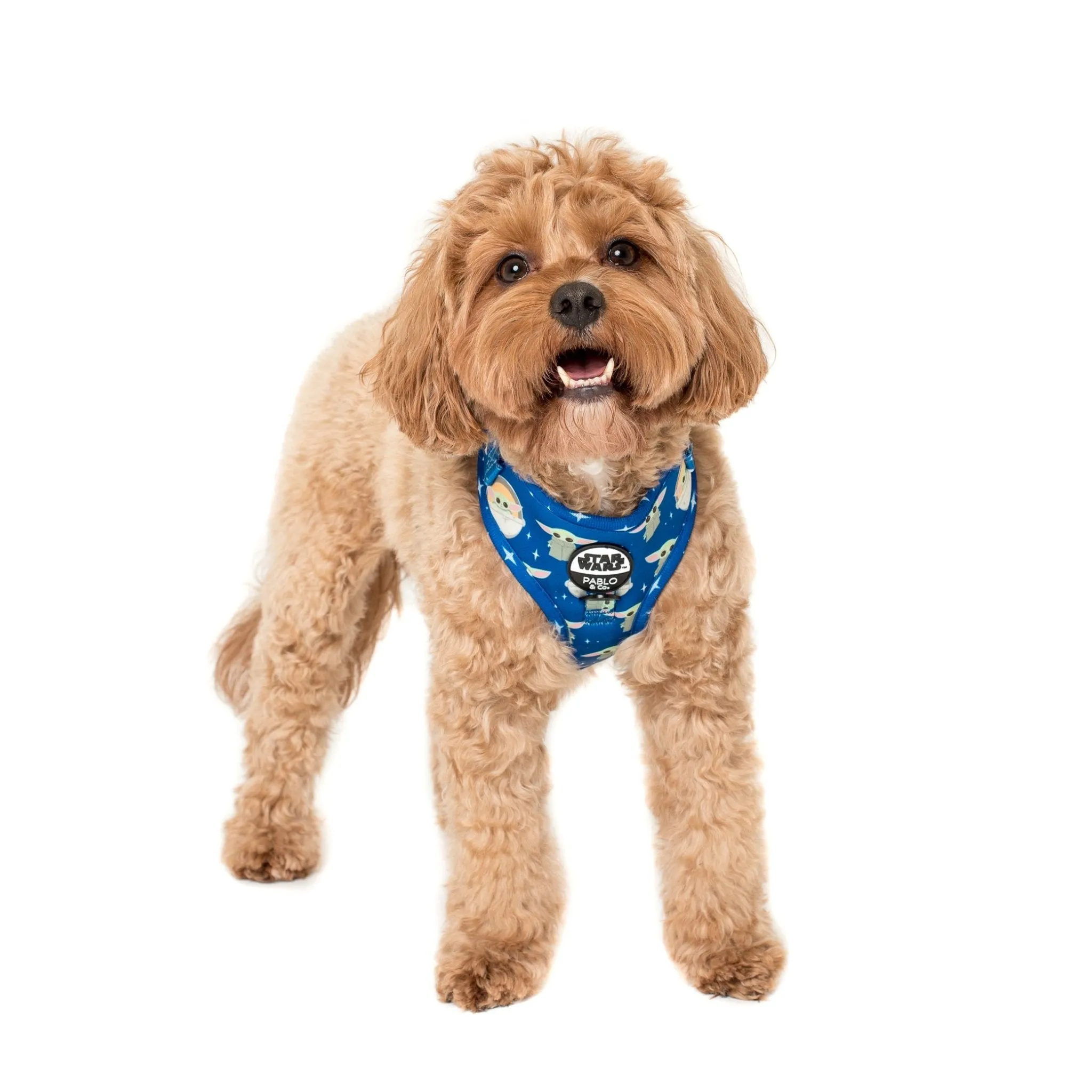 Star Wars Grogu Adjustable Harness