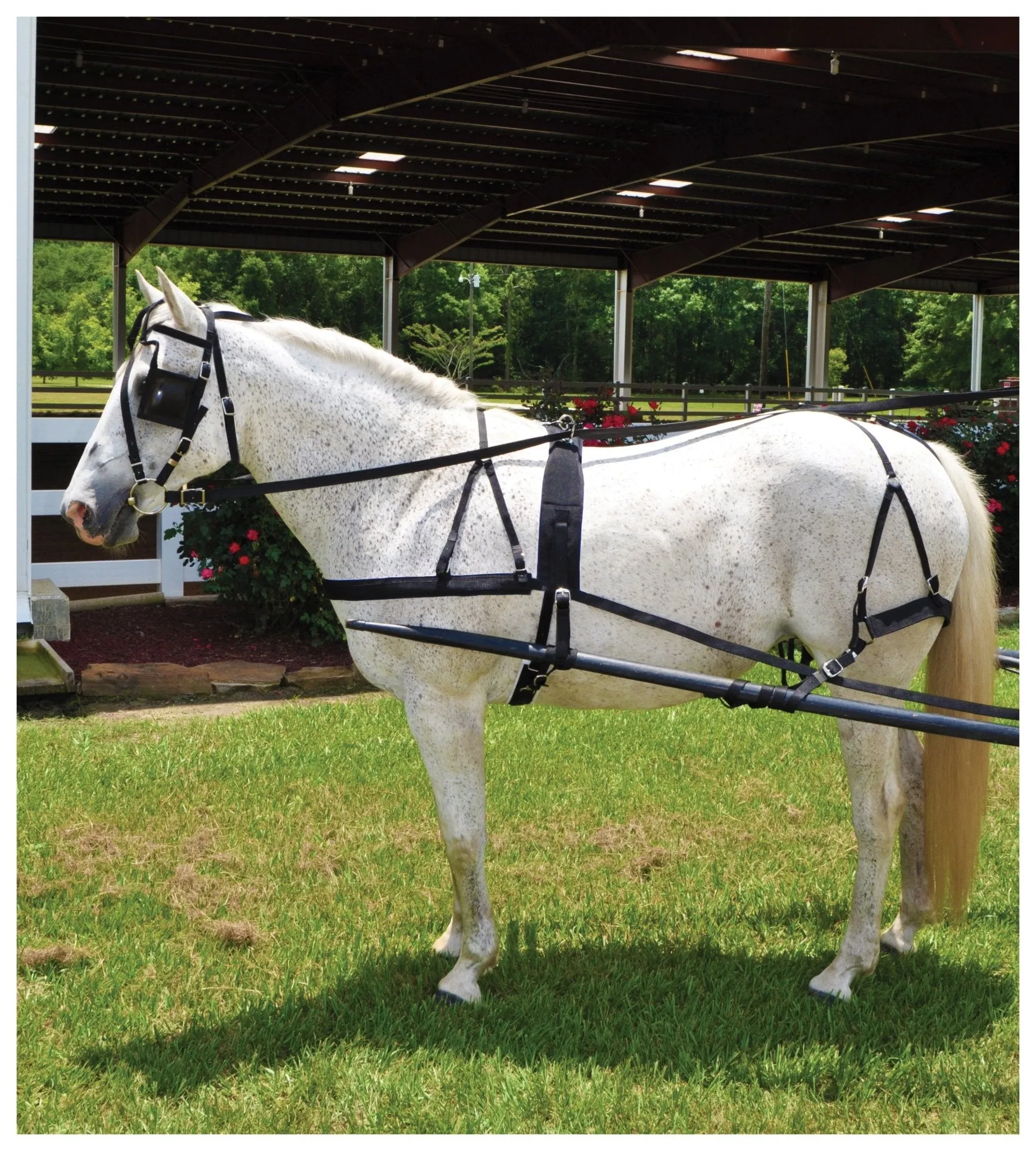 Tough-1 Nylon Driving Harness
