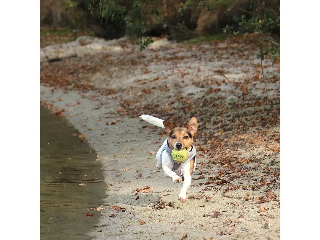 Ultimate Fit Small Dog Harness