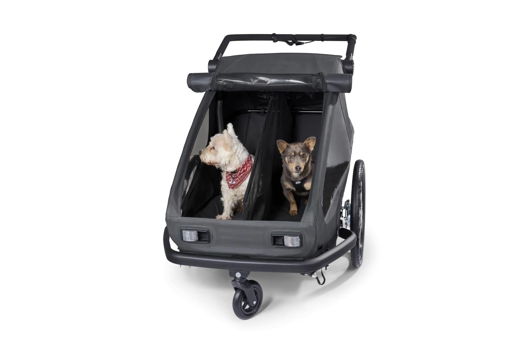 Yuuna Dog Module